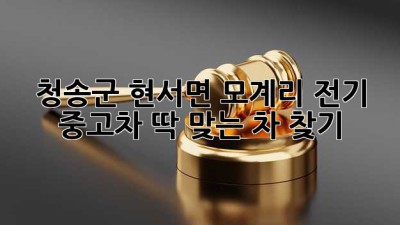청송군 현서면 모계리 전기 중고차, 딱 맞는 차 찾기!