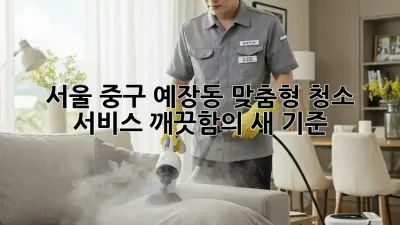 서울 중구 예장동 맞춤형 청소 서비스: 깨끗함의 새 기준