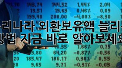 우리나라 외환보유액 늘리는 방법, 지금 바로 알아보세요!
